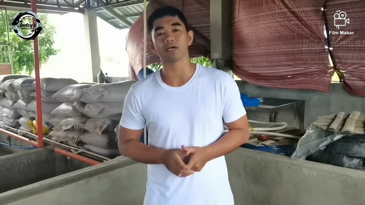 Vlog #06: CONCRETE POND PART 1 (Bagong gawa na concrete pond) Lipat na tayo ng location!