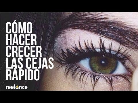 COMO Hacer CRECER las CEJAS Súper RAPIDO 