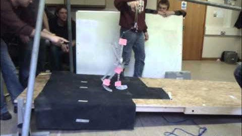 2D passive dynamic walker, 6 steps