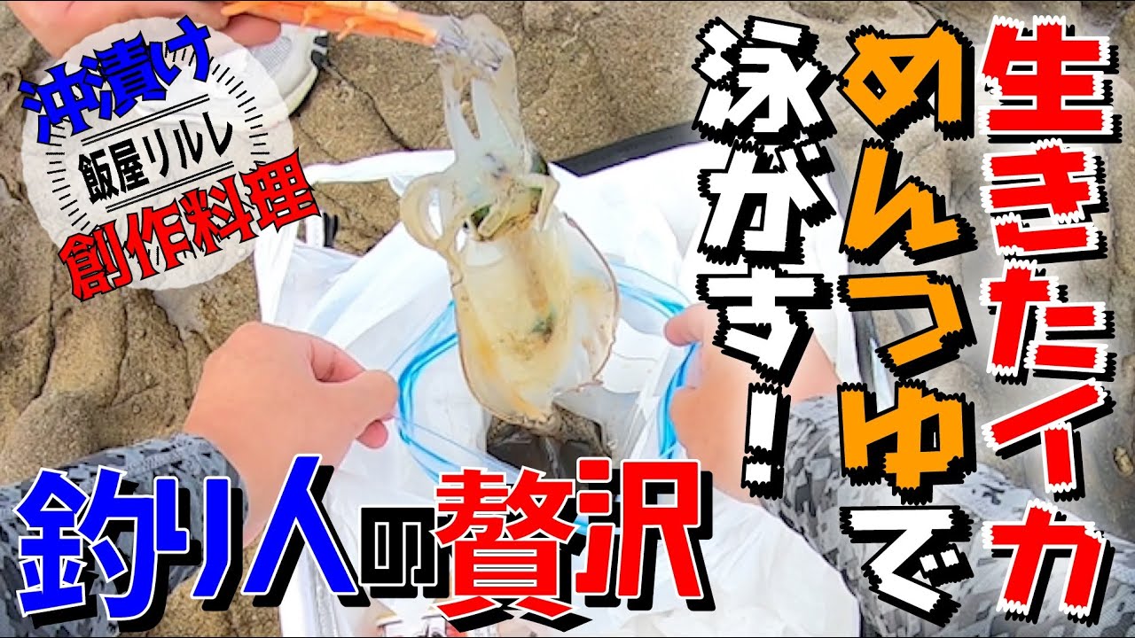生きたアオリイカをめんつゆで泳がす 釣り人の贅沢 飯屋リルレ沖漬け編 Youtube