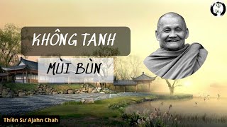 TRONG BÙN MÀ CHẲNG HÔI TANH MÙI BÙN | Thiền Sư Ajahn Chah |