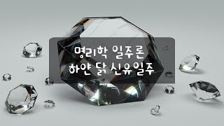 사주 명리 일주론 신유일주