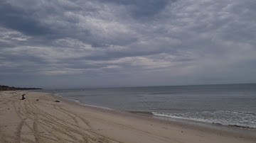 5B and 1/8, Thunderhead, Cage and Teal Buggy.