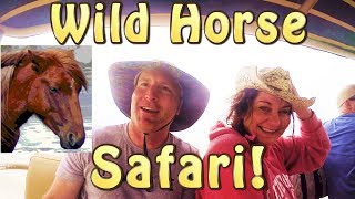WILD HORSE BEACH SAFARI - Corolla North Carolina! WILD HORSE BEACH SAFARI - Corolla North Carolina!