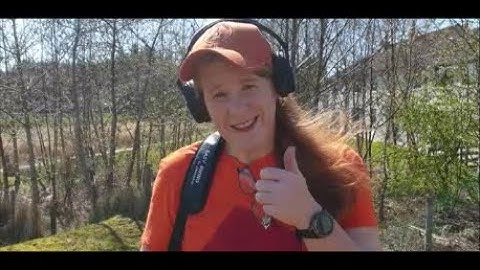 Nokta Makro Simplex Update 2.76 Field vs Park & 2. A.S.S. Mode evaluation.