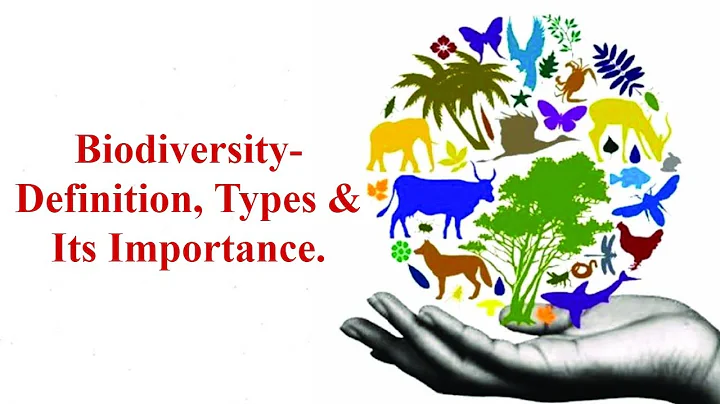 Biodiversity-Definition, Types Of Biodiversity, Importance of Biodiversity - DayDayNews