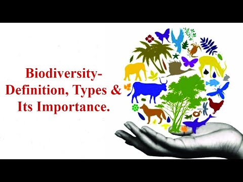 Biodiversity-Definition, Types Of Biodiversity, Importance of Biodiversity