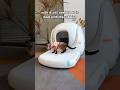 #catproducts #cat #catdance #catlitterbox #petproducts #catlink #cathealth #cattok