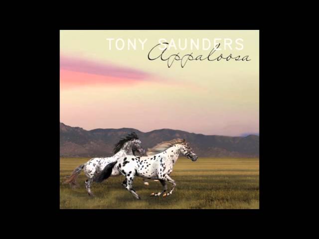 Tony Saunders - Appaloosa