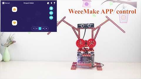 WeeeBot Evolution - Play and Code with Penguin Robot