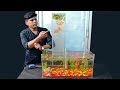 മായമല്ല മന്ത്രമല്ല.. ഇത് വെർട്ടിക്കൽ അക്വാറിയം | How To Make Vertical Aquarium At Home In Malayalam