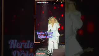 Hadise Neredeydi O Deli Oğlan Dedi