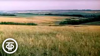 видео: Энциклопедия  картинка: Энциклопедия