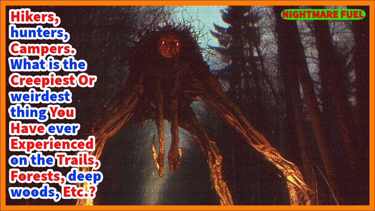 Hikers, hunters, and campers. What is the creepiest thing you've ever seen on the forests, woods?