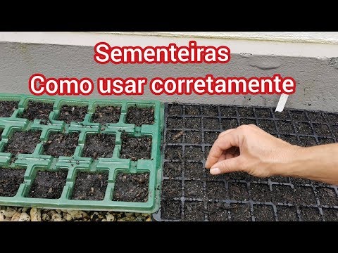 Vídeo: Plantas de alface de Ítaca – Dicas para cultivar alface de Ítaca no jardim