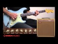 RedPlate Tweedy Verb+ with b3 Fire SL and Fender Relic Strat