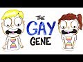 Does Everybody Have A Gay Gene?