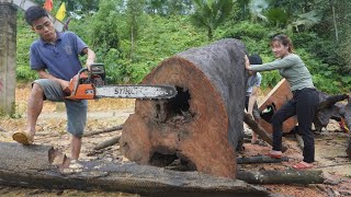 Amazing Fastest Large Wood Sawmill Machines Working, Modern Technology Sawn Wood for Dining Table