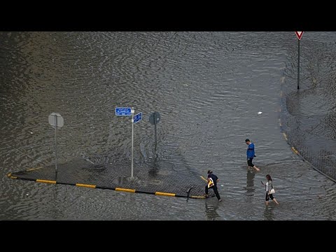Улицы Шарджи затопило после проливных дождей в ОАЭ