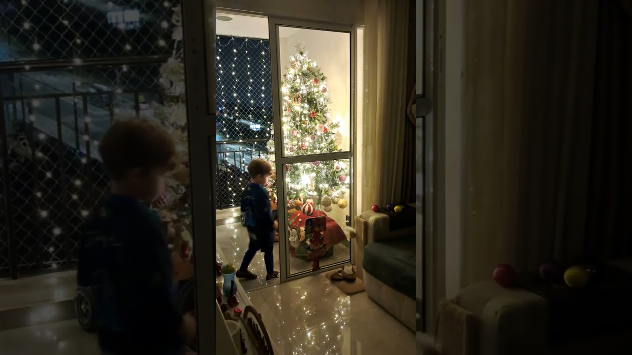 14 de novembro de 2024(2)