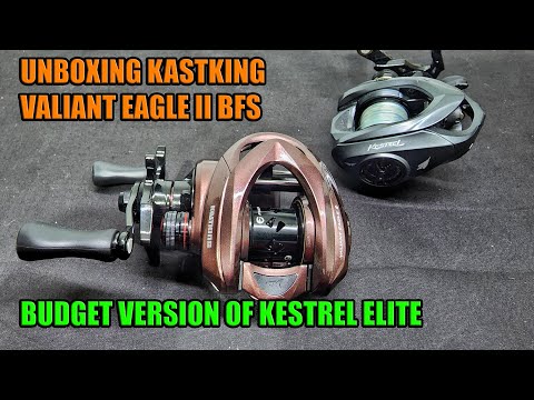 KastKing Valiant Eagle 2 BFS Reel Unboxing and Comparison to Kestrel Elite  