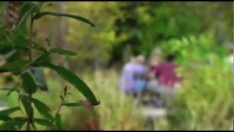 Alpine Loop Scenic Drive | Explore Utah Valley