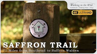 Download Lagu The Saffron Trail - 71 Miles from Southend to Saffron Walden MP3
