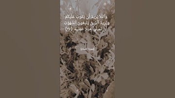 سورة النساء الآية ٢٦و٢٧و٢٨ بصوت الشيخ #ياسر_الدوسري #القرآن_الكريم #القرآن