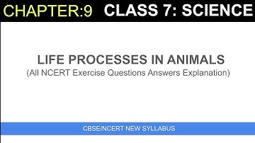 Class 7| Chapter 9| Science| Life Processes in Animals| Questions and answers|NCERT