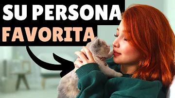 ¿Duermen los gatos con su persona favorita?