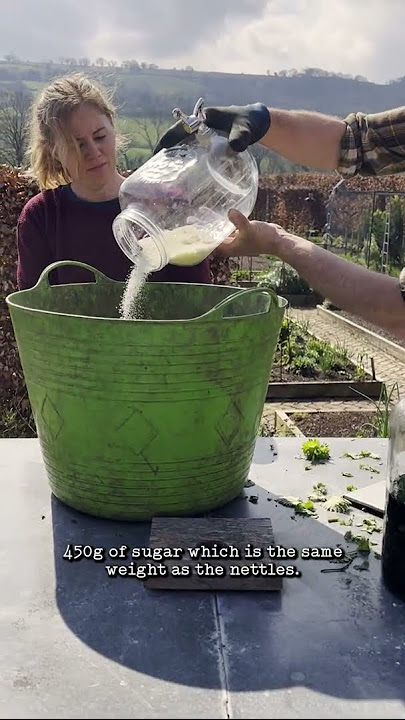 Homemade Nettle Fertiliser