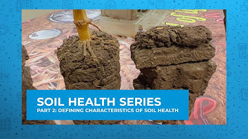 Soil Health Series - Defining Characteristics of Soil Health