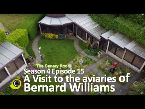 The Canary Room Season 4 - Episode 15 - A visit to the aviaries and birdroom of  Bernard Williams