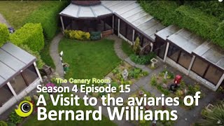 The Canary Room Season 4 - Episode 15 - A visit to the aviaries and birdroom of  Bernard Williams screenshot 4