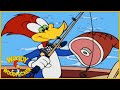 Woody woodpecker show  surf crazy  1 hour compilation  cartoons for children