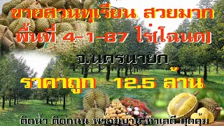 ขายสวนทุเรียน ติดคลองธารน้ำ ติดถนนดำ4เลนสวยมาก 4-1-87 ไร่ จ.นครนายก ราคา 12.5 ล้าน สนใจT.096-2829253