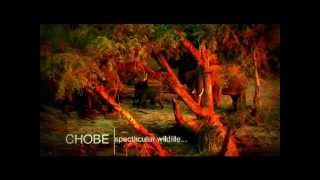 Botswana Tourism: Chobe - A Paradise For Nature Lovers