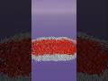 5 Satisfying Flag Simulations Part 1 #asmr #satisfying