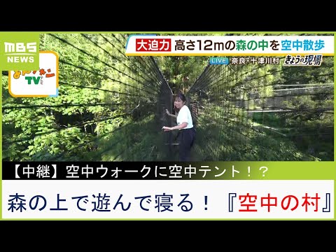 フランスからやってきた『空中の村』で高さ１２ｍの森の中を散歩！空中ウォークに空中テント...森の上で遊ぶ・寝るを大満喫！【現場から生中継】（2023年8月4日）