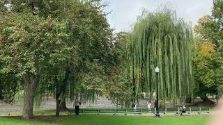 My Adventure Around Massachusetts