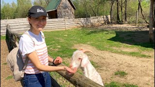 Ogród Zoologiczny Leśne Zacisze  🦁 Czy warto? 🤔/Zalew Morawica 🌳/Aktywny weekend 🌞 🎒 by Zza uchylonych drzwi 114 views 1 year ago 22 minutes