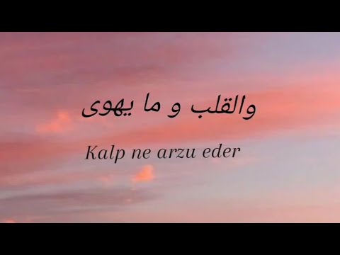 Ali Hojeij | حنين | والقلب و ما يهوى |Şarkının Tercümesi