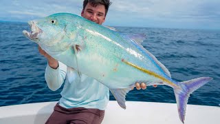 GIANT Panama Bluefin Trevally! Catch Clean Cook (Panama Fishing)