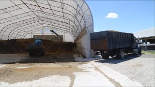 Manure solids recycled as manufactured bedding for dairy cows
