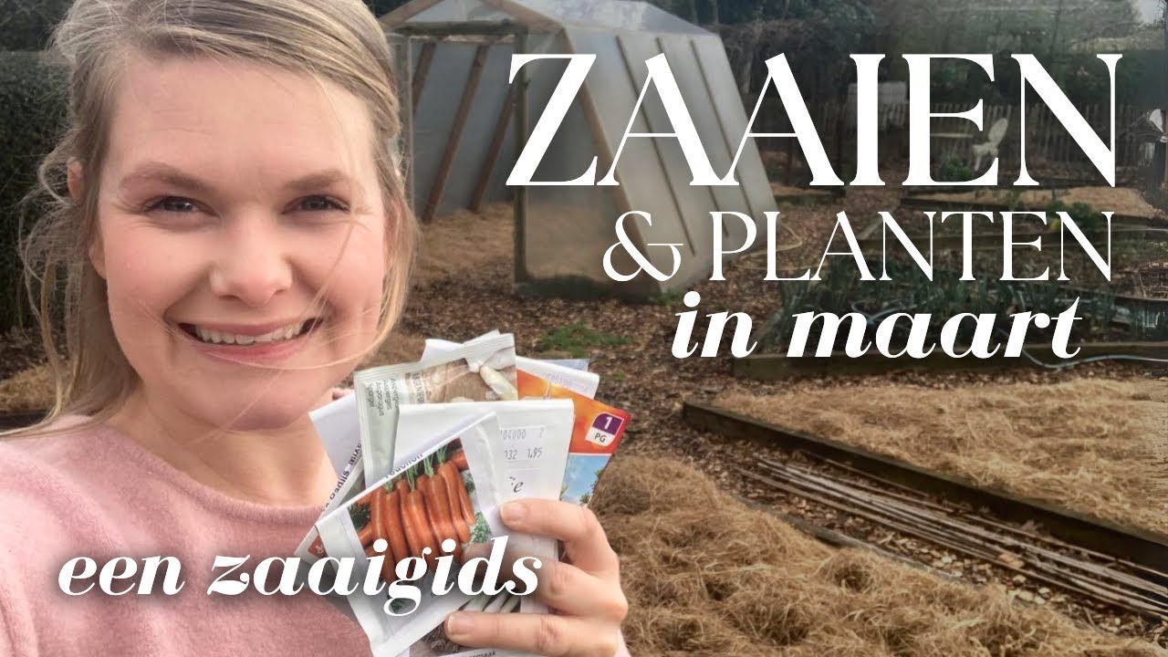 Zaaien en planten in MAART - kolen, aardappels, tomaten en meer: een zaaigids