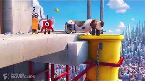 The Secert Life Of Pets Slide Add Round 1