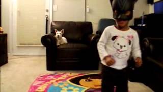 Puppy Harlem Shake - ComeWagAlong.com
