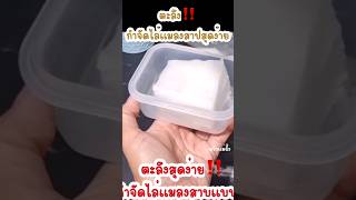 ตะลึง ไล่แมลงสาปบุกบ้านสุดง่าย #ครัวแม่ผึ้ง #วิธีกำจัดแมลงสาป #แมลงสาป #ไล่แมลงสาป #งานบ้าน #diy