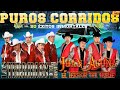 Los Terribles Del Norte y Juan Acuña El Terror Del Norte - Puros Corridos Mix 2025