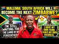 MALEMA: SOUTH AFRICA IS BECOMING THE NEXT ZIMBABWE?" 🇿🇦🇿🇼 MDreacts